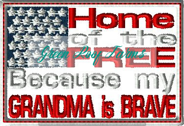Grandma is brave flag