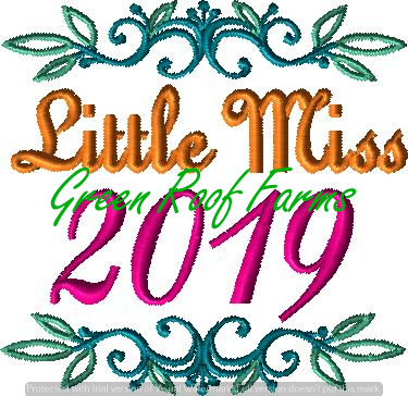 Little Miss 2019