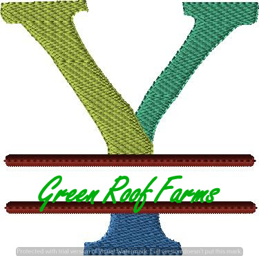 4x4 hoop Color Split Monogram (4x4) with Knockdown: Y