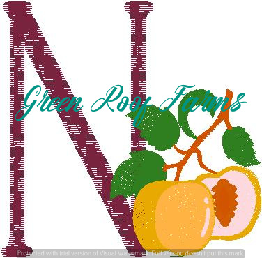 N_Nectarine Fruit and Veggie 4 design pack