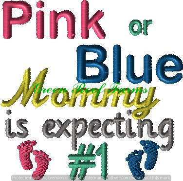 Expecting baby 1 He or She gender reveal or announcement