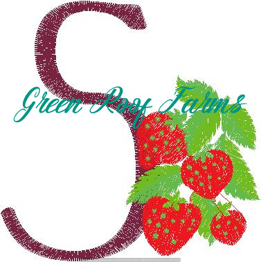 S_StrawberryFruit and Veggie 4 design pack
