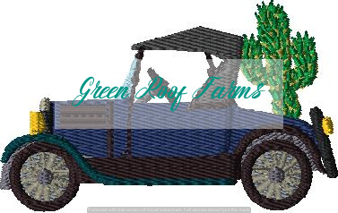 Model T transporting a Cactus (tree)