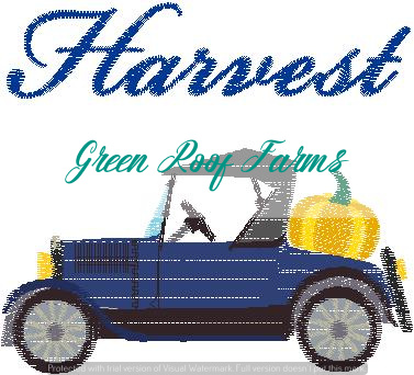 Model T transporting a pumpkin