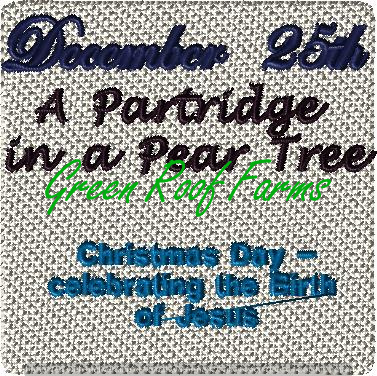 Day 1 A Partridge in a Pear Tree 4x4: 2 design set plus knockdown - Image 2