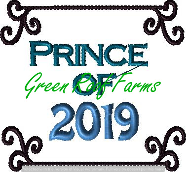 Prince of 2019