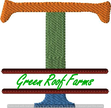 4x4 hoop Color Split Monogram (4x4) with Knockdown: T