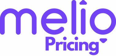 Melio Payments Pricing