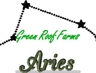 Aries 5x6 including a knockdown