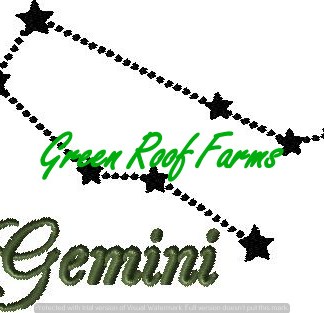 Gemini 5x6 including a knockdown
