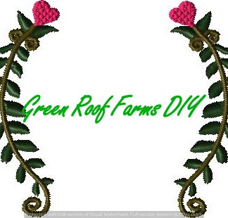 Floral Heart Decorative Border 4x4