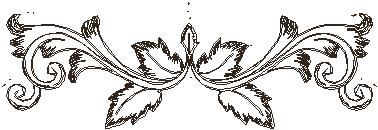Decorative Scroll Pack of 6 in 5x2 and 4x1.5. - Image 3