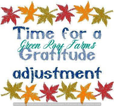 Thanksgiving Pack 2 4x4 size 7 designs - Image 6