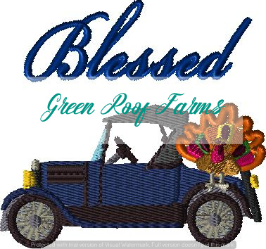 Model T transporting a Turkey