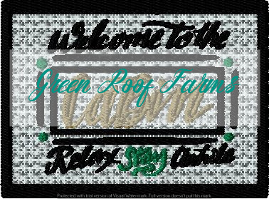 Cabin Theme Saying Stay Awhile designs with and without knockdown stitch - Image 2