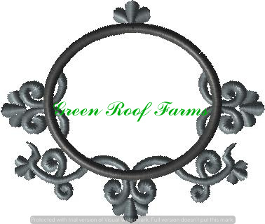 4x4 Deco Swirl Frame