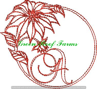 Redwork Poinsettia Font Design Pack ; 26 designs - Image 2