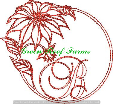 Redwork Poinsettia Font Design Pack ; 26 designs - Image 3