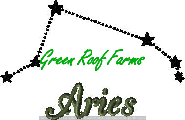 Aries 4x4 including a knockdown