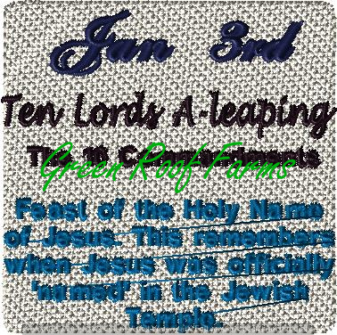Day 10 Ten Lords A-leaping 4x4: 2 design set with a knockdown too - Image 3