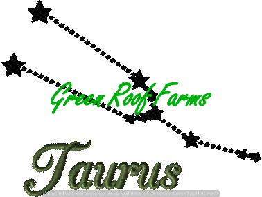 Taurus 4x4 including a knockdown
