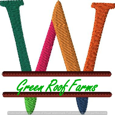 4x4 hoop Color Split Monogram (4x4) with Knockdown: W