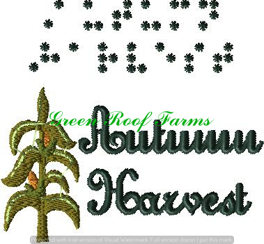 Braille Holiday 4x4 Design Pack; 8 designs - Image 8