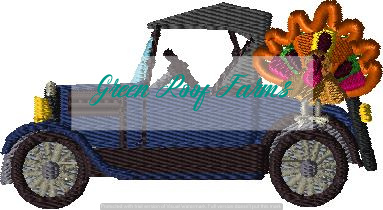Model T transporting a Turkey - Image 3