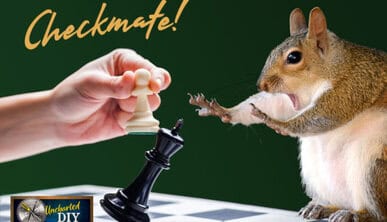 Checkmating an unbelieving squirrel playing chess