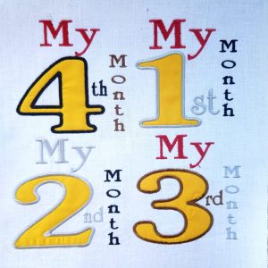 Baby First 13 Month Theme Design Collection 4x4 hoop