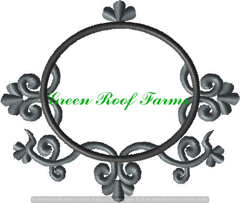 6x5 Deco Swirl Frame