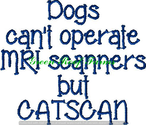 Billboard Sayings Pack 1 5x7 13 designs - Image 2