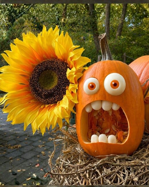 Potato Monster Pumpkin
