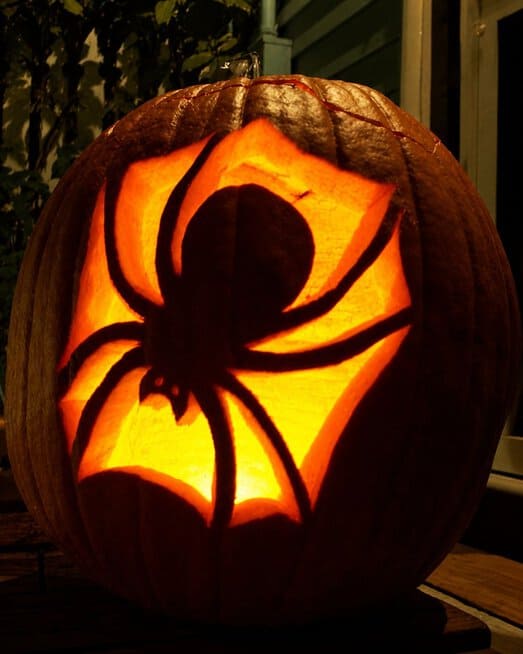 Spider and Web