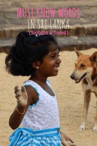 20 Phrases You Should Know Before Going To Sri Lanka Better Travel Together Learn sinhalesecommon phrases in sinhalese add missing common phrases. sri lanka