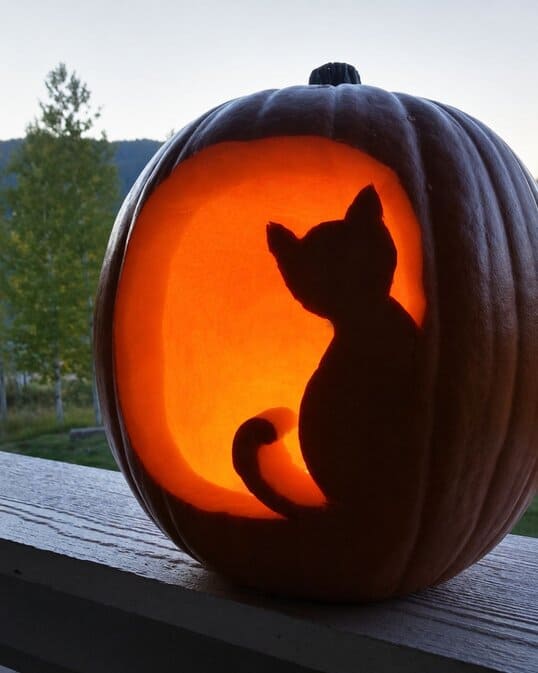 Cat Silhouette Pumpkin