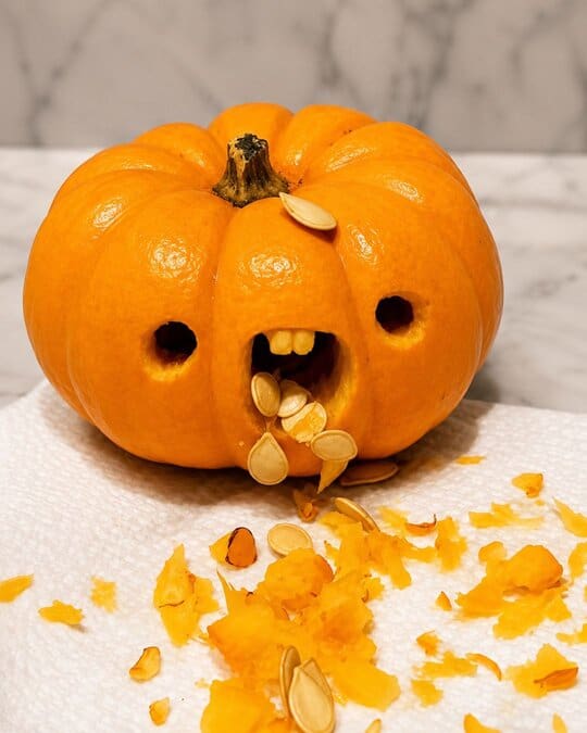 Pumpkin Throwing Up Seeds