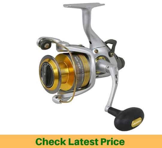 best cheap fishing reel