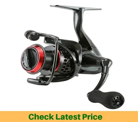 best budget fishing reel