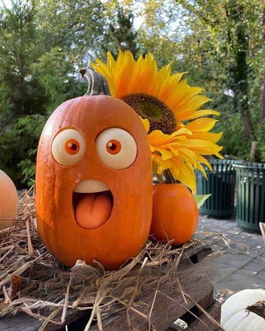 Tongue-Out Silly Pumpkin
