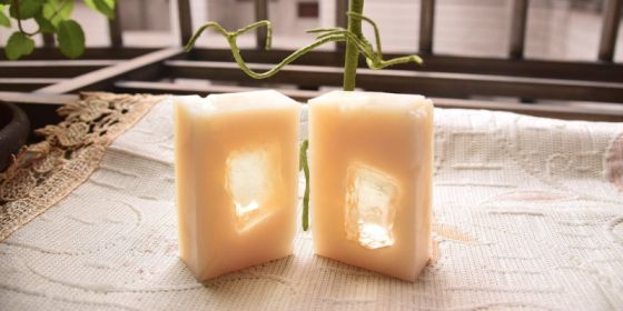 Make Ivory Soap Boats - a home science experiment that is fun Make Ivory Soap Boats - a home science experiment that is fun