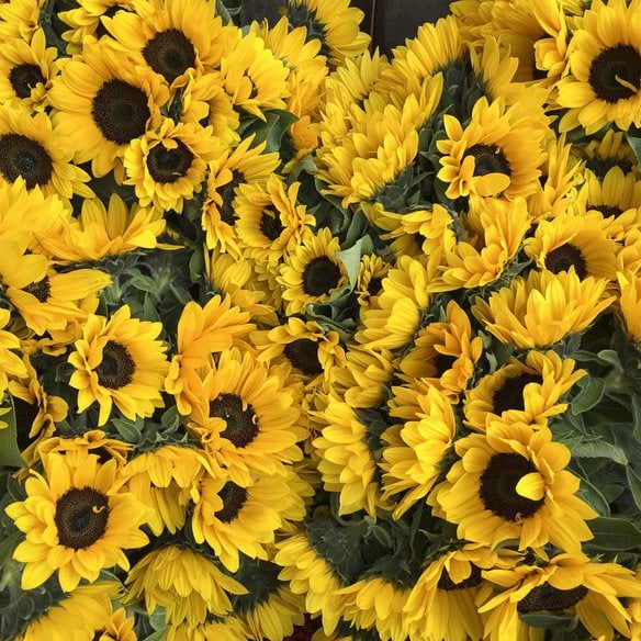 Blumen am Wochenmarkt 