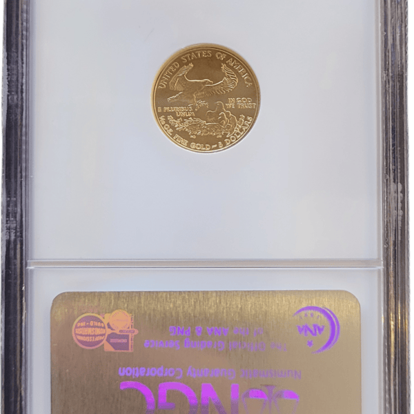 american eagle 1.10 oz 2007