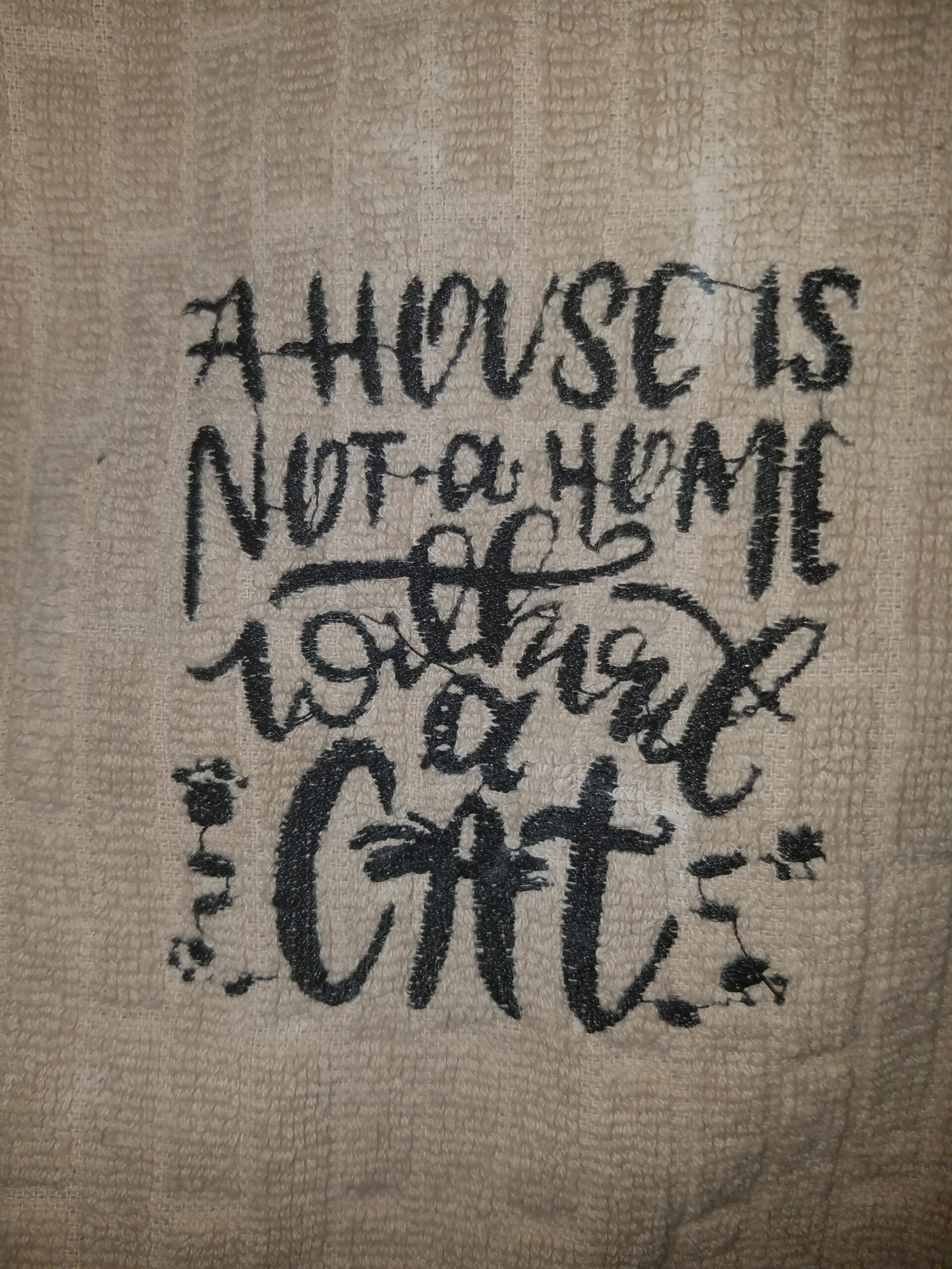 Home is not a home without a Cat