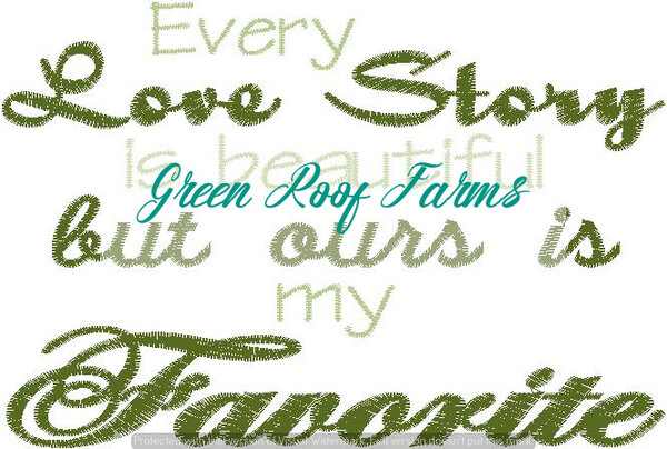 Love Story is Favorite