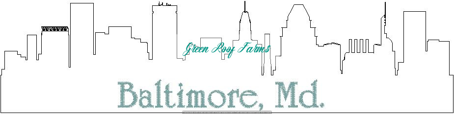 Baltimore Skyline