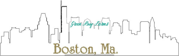 Boston Skyline