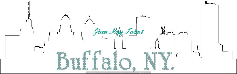 Buffalo Skyline