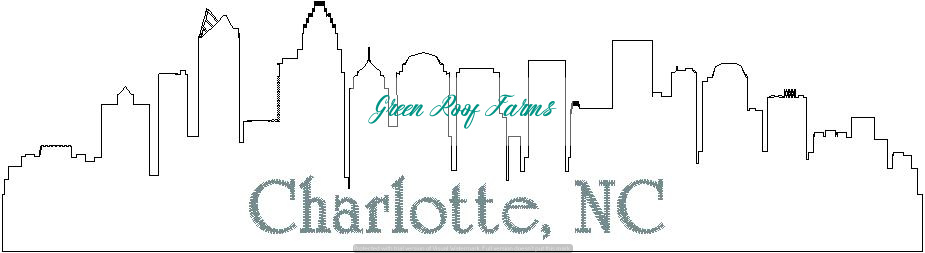 Charlotte Skyline