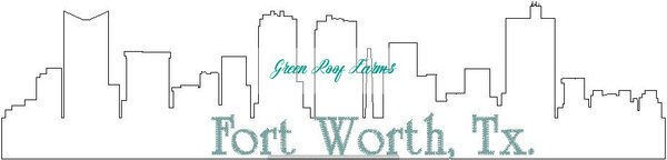 Fort Worth Skyline